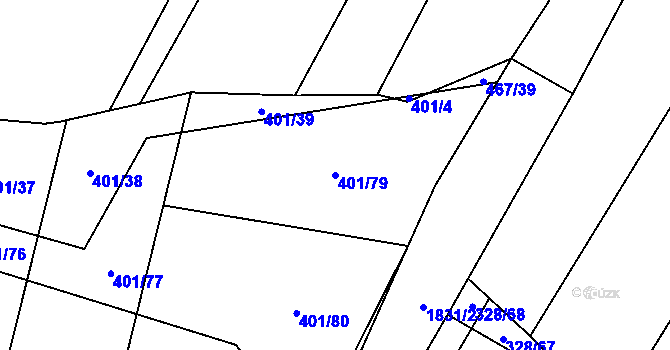 Parcela st. 401/79 v KÚ Nové Syrovice, Katastrální mapa