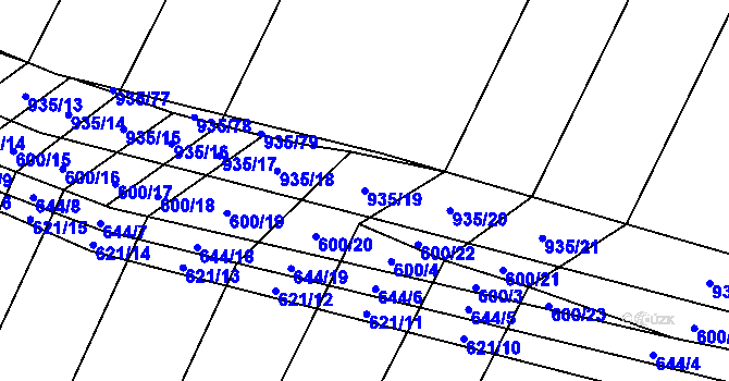 Parcela st. 935/19 v KÚ Nové Syrovice, Katastrální mapa
