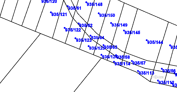 Parcela st. 935/125 v KÚ Nové Syrovice, Katastrální mapa