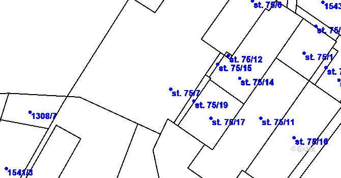 Parcela st. 75/7 v KÚ Nové Syrovice, Katastrální mapa