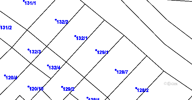 Parcela st. 129/1 v KÚ Nové Syrovice, Katastrální mapa