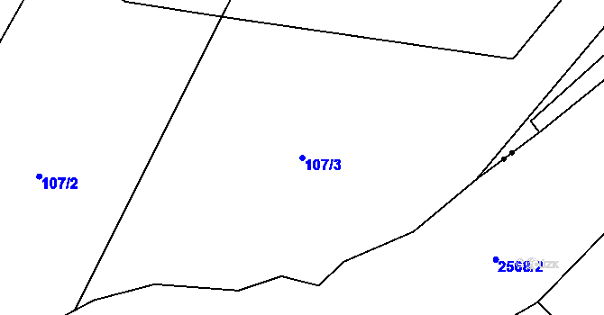 Parcela st. 107/3 v KÚ Lhotka u Vítkova, Katastrální mapa