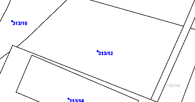 Parcela st. 313/12 v KÚ Nové Těchanovice, Katastrální mapa