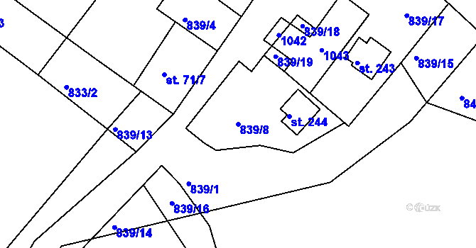 Parcela st. 839/8 v KÚ Nové Těchanovice, Katastrální mapa