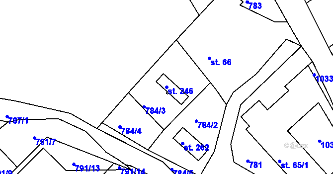 Parcela st. 246 v KÚ Nové Těchanovice, Katastrální mapa