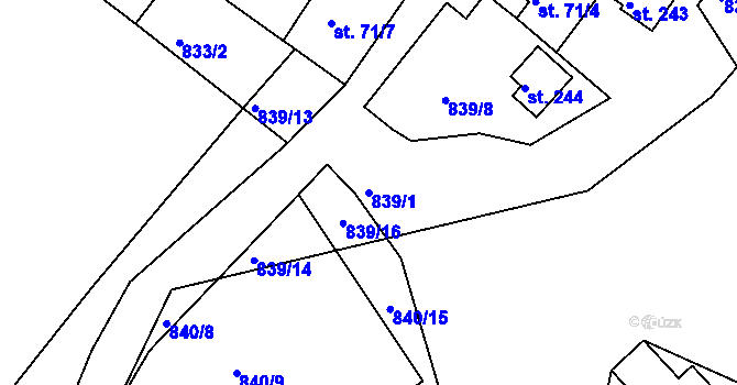Parcela st. 839/1 v KÚ Nové Těchanovice, Katastrální mapa