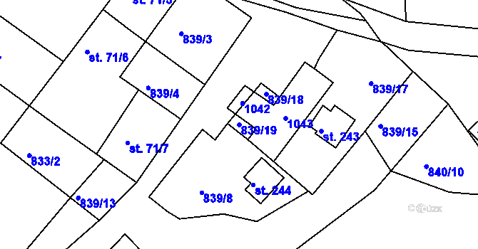 Parcela st. 839/19 v KÚ Nové Těchanovice, Katastrální mapa