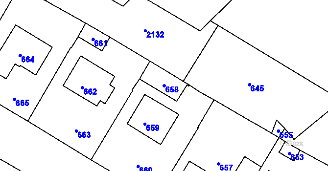 Parcela st. 658 v KÚ Nové Veselí, Katastrální mapa