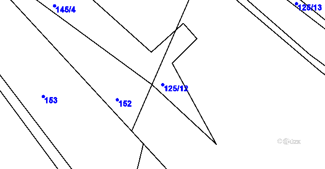 Parcela st. 125/12 v KÚ Novičí, Katastrální mapa