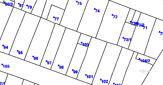 Parcela st. 100 v KÚ Novosedlice, Katastrální mapa