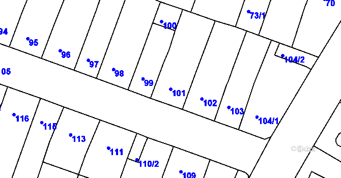 Parcela st. 101 v KÚ Novosedlice, Katastrální mapa