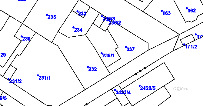 Parcela st. 236/1 v KÚ Novosedlice, Katastrální mapa