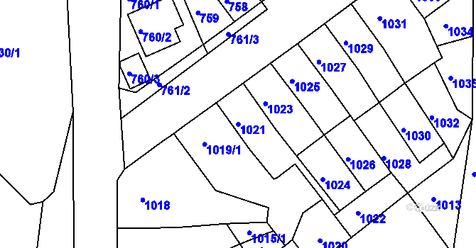 Parcela st. 1021 v KÚ Novosedlice, Katastrální mapa