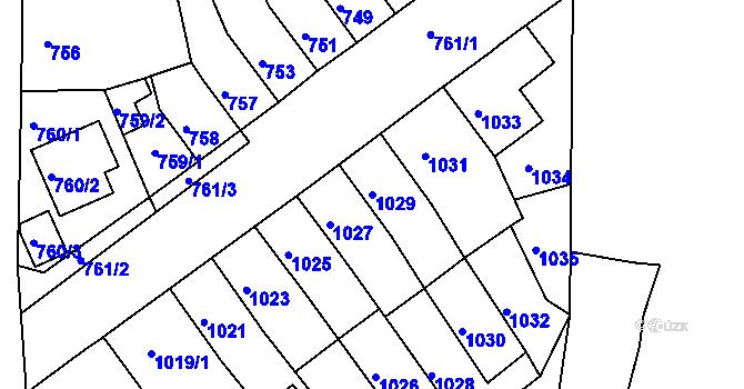 Parcela st. 1029 v KÚ Novosedlice, Katastrální mapa