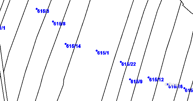 Parcela st. 615/1 v KÚ Novosedly u Žlutic, Katastrální mapa