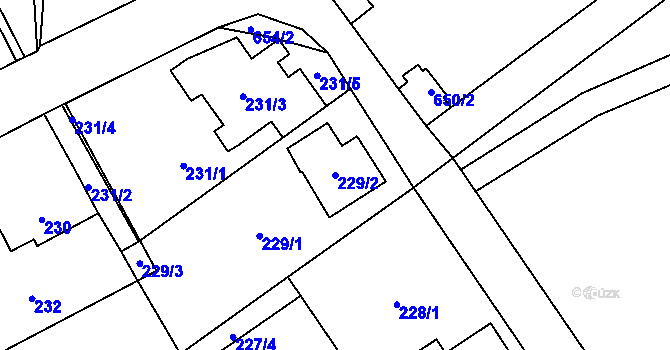 Parcela st. 229/2 v KÚ Arnultovice u Nového Boru, Katastrální mapa