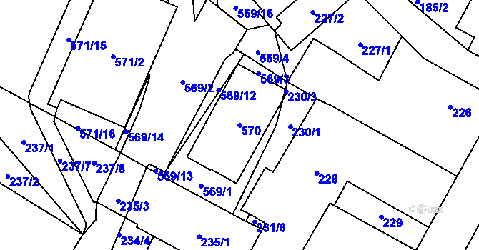 Parcela st. 570 v KÚ Arnultovice u Nového Boru, Katastrální mapa