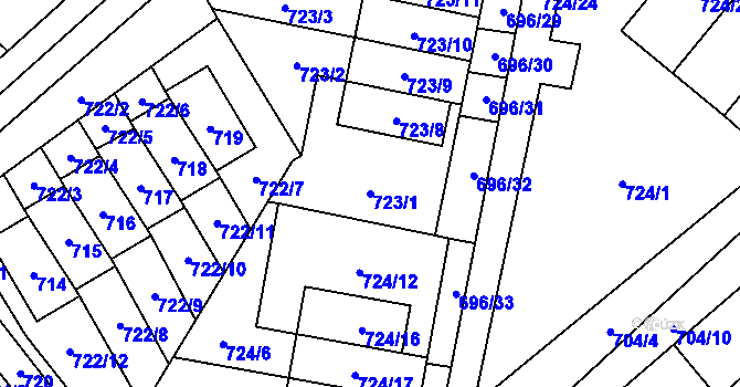 Parcela st. 723/1 v KÚ Arnultovice u Nového Boru, Katastrální mapa