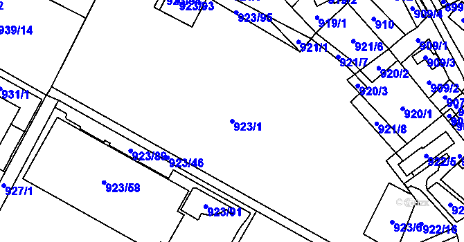 Parcela st. 923/1 v KÚ Arnultovice u Nového Boru, Katastrální mapa