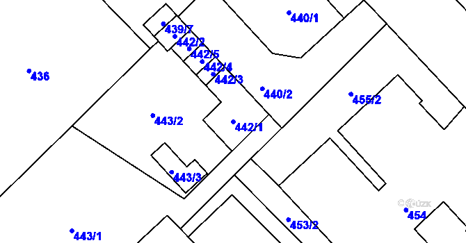 Parcela st. 442/1 v KÚ Nový Bor, Katastrální mapa