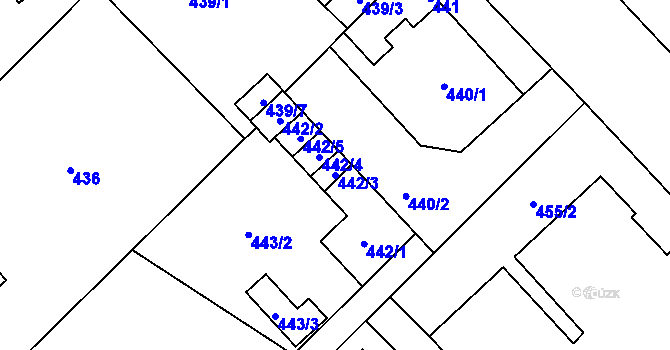 Parcela st. 442/3 v KÚ Nový Bor, Katastrální mapa