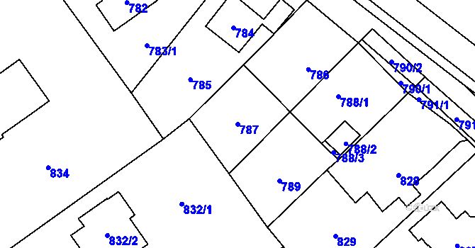 Parcela st. 787 v KÚ Nový Bor, Katastrální mapa