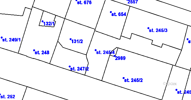 Parcela st. 245/4 v KÚ Nový Bydžov, Katastrální mapa