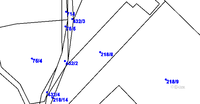 Parcela st. 218/8 v KÚ Dlouhé, Katastrální mapa