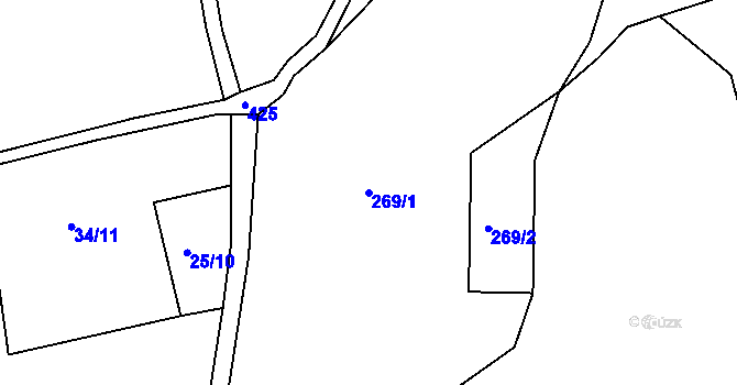 Parcela st. 269/1 v KÚ Dlouhé, Katastrální mapa