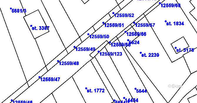 Parcela st. 12559/123 v KÚ Nový Hrozenkov, Katastrální mapa