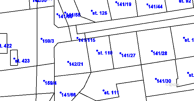 Parcela st. 110 v KÚ Nový Jáchymov, Katastrální mapa