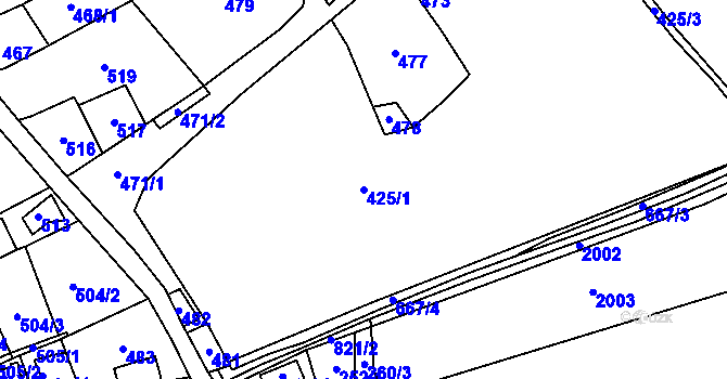 Parcela st. 425/1 v KÚ Svatý Jiří, Katastrální mapa