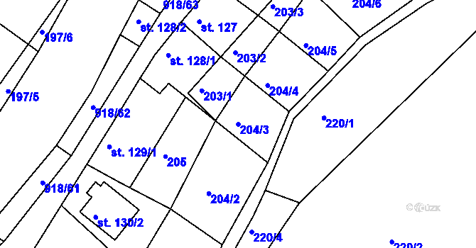 Parcela st. 204/3 v KÚ Nový Knín, Katastrální mapa