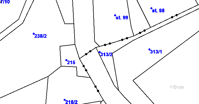 Parcela st. 313/2 v KÚ Čižebná, Katastrální mapa