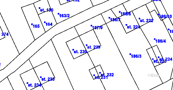 Parcela st. 229 v KÚ Nový Kostel, Katastrální mapa