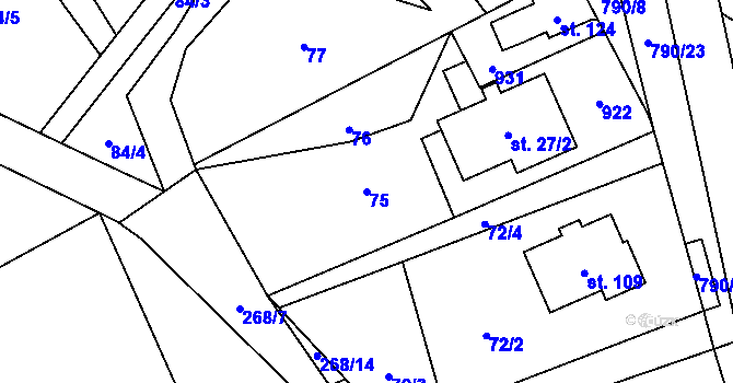 Parcela st. 75 v KÚ Vlkanov u Nového Kramolína, Katastrální mapa
