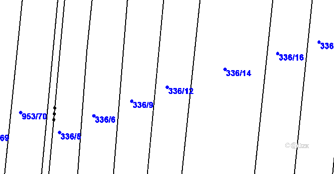 Parcela st. 336/12 v KÚ Nový Ples, Katastrální mapa