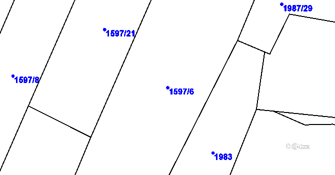Parcela st. 1597/6 v KÚ Nový Rychnov, Katastrální mapa
