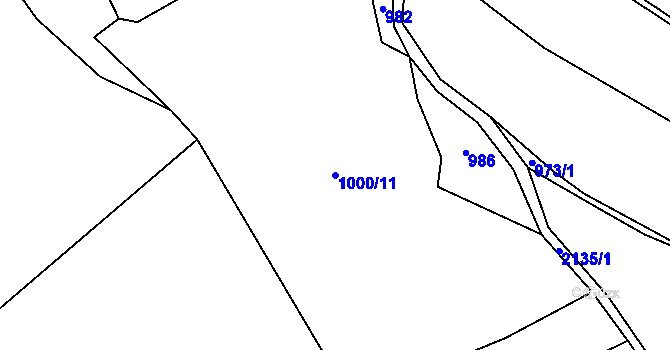Parcela st. 1000/11 v KÚ Nový Rychnov, Katastrální mapa