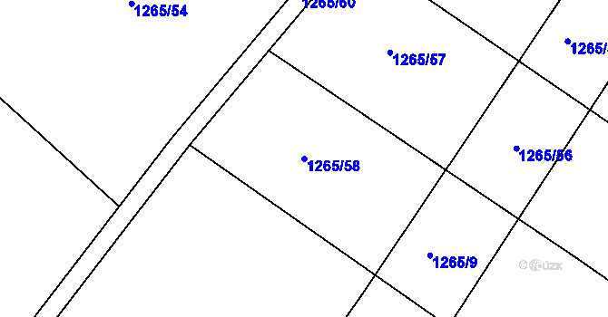 Parcela st. 1265/58 v KÚ Nový Rychnov, Katastrální mapa