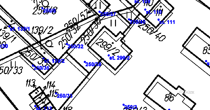 Parcela st. 299/2 v KÚ Borová Lada, Katastrální mapa