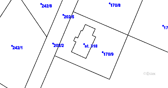 Parcela st. 318 v KÚ Borová Lada, Katastrální mapa