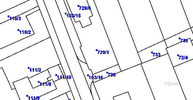 Parcela st. 729/1 v KÚ Nový Šaldorf, Katastrální mapa