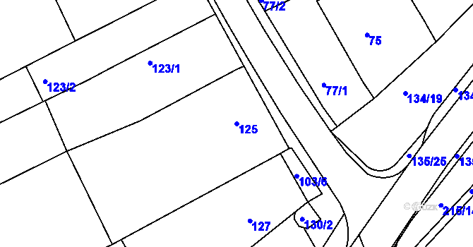 Parcela st. 125 v KÚ Nový Šaldorf, Katastrální mapa