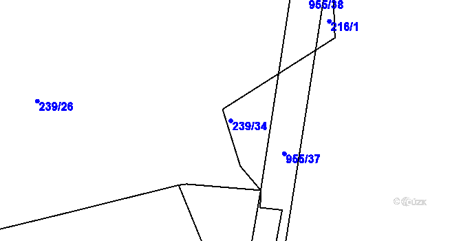 Parcela st. 239/34 v KÚ Nový Telečkov, Katastrální mapa