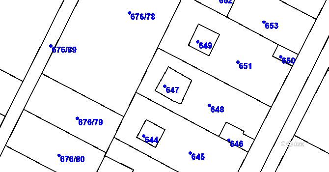 Parcela st. 647 v KÚ Nový Vestec, Katastrální mapa