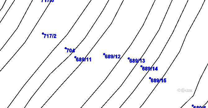 Parcela st. 689/12 v KÚ Nový Vojířov, Katastrální mapa