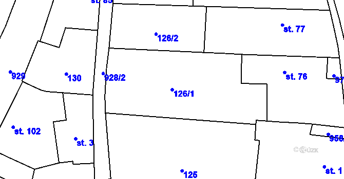 Parcela st. 126/1 v KÚ Konojedy, Katastrální mapa