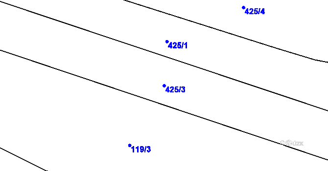 Parcela st. 425/3 v KÚ Konojedy, Katastrální mapa