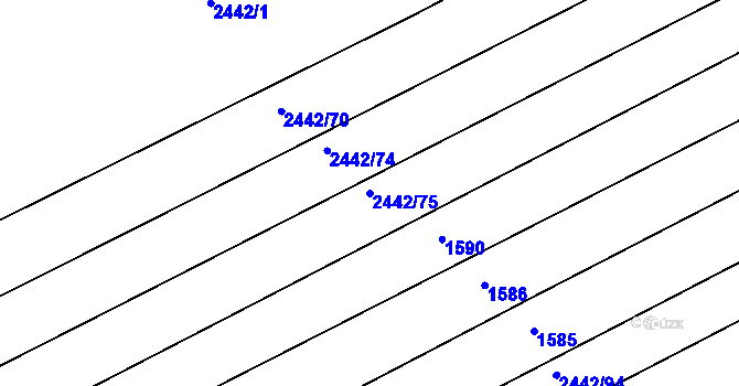 Parcela st. 2442/75 v KÚ Nynice, Katastrální mapa